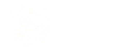 NimbusWave'S